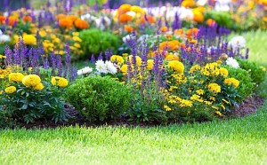 lenards-lawn-care-service-chesapeake-va